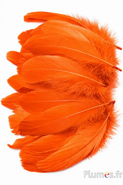 Gans - 11-15 cm - orange